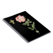 Hummingvogel und Rose Notizblock (Rechte Seite)