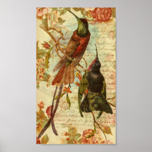 Hummingvögel und Rose Poster