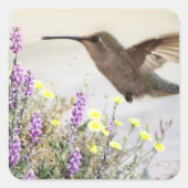 Hummingvogel und Wildblumen Digitale Kunst Akzent Quadratischer Aufkleber (Vorderseite)