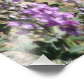 Hummingvogel und Wildblumen Digitale Kunst Fotodruck (Ecke)