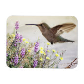 Hummingvogel und Wildblumen Digitale Kunst Magnet (Horizontal)