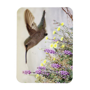 Hummingvogel und Wildblumen Digitale Kunst Magnet