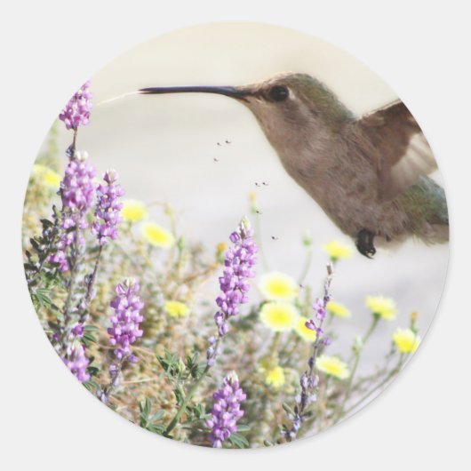 Hummingvogel und Wildblumen Digitale Kunst Runder Aufkleber (Vorderseite)