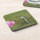 Hummingvogel und Zinnia Getränkeuntersetzer (Linke Seite)
