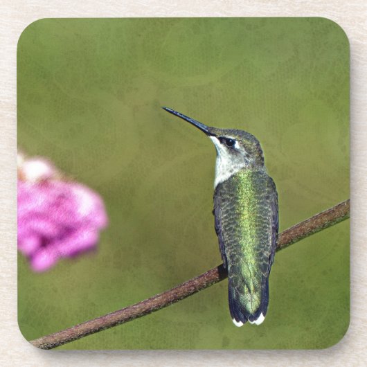 Hummingvogel und Zinnia Getränkeuntersetzer (Vorderseite)