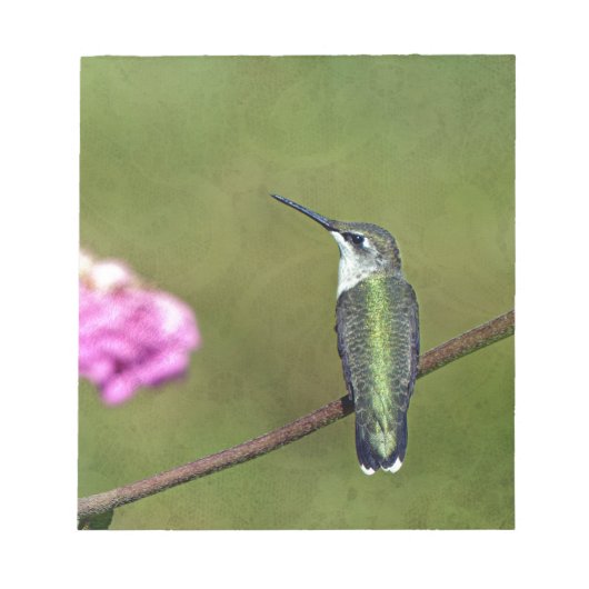 Hummingvogel und Zinnia Notizblock (Vorderseite)