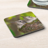 Hummingvögel Untersetzer (Linke Seite)