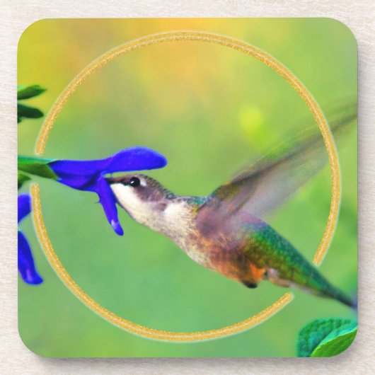 Hummingvogel Untersetzer (Vorderseite)