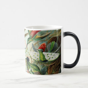 Hummingvögel Verwandlungstasse