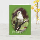 Hummingvogel-Weibchen - passen Sie jede Gelegenhei Karte (Gelbe Blume)