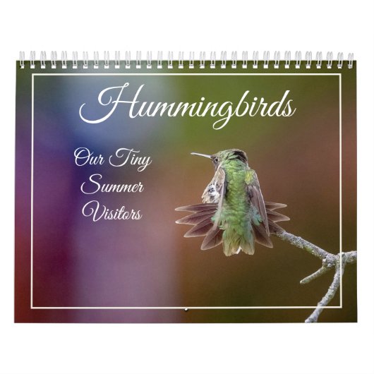Hummingvögel, winziger Sommerbesuchskalender Kalender (Titelbild)