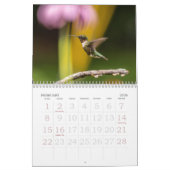 Hummingvögel, winziger Sommerbesuchskalender Kalender (Feb 2026)