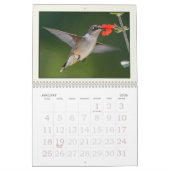 Hummingvögel, winziger Sommerbesuchskalender Kalender (Jan 2026)
