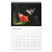 Hummingvogelkalender nach Tal Kalender (Jan 2027)