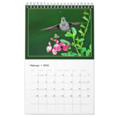 Hummingvogelkalender nach Tal Kalender (Feb 2026)