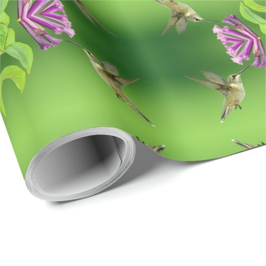 Hummingvogelmuster Geschenkpapier (Rolleneckpunkt)