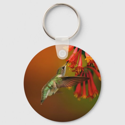 Hummingvogelprodukte Schlüsselanhänger (Vorderseite)