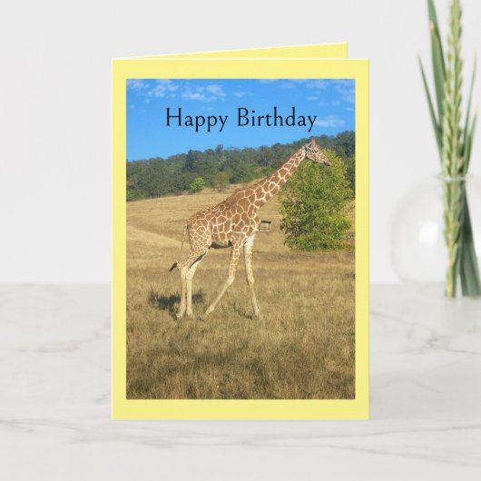 Humor Birthday Card Karte (Vorderseite)