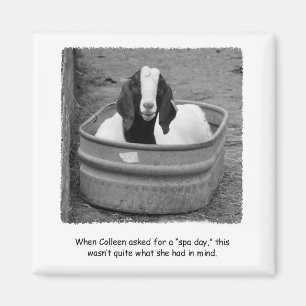 Humor Goat Wellness-Center Day Magnet