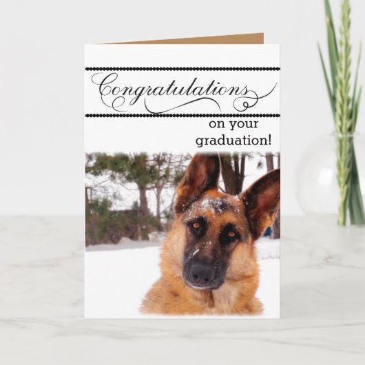 Humorale Abschluss Card mit German Shepherd Karte (Vorderseite)
