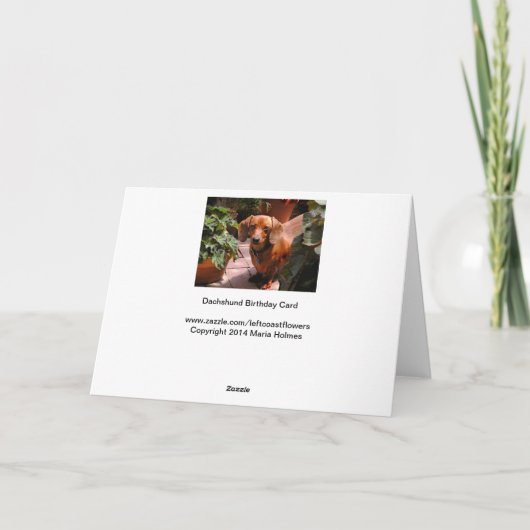 Humorale Dackel Geburtskarte Karte (Rückseite)