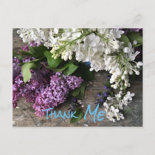 Humorale Postkarte: Lilac Dankeschön an "ME"-Noten Postkarte (Vorderseite)