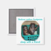 Humorale Schutzberatung Magnet (Vorderseite/Rückseite)