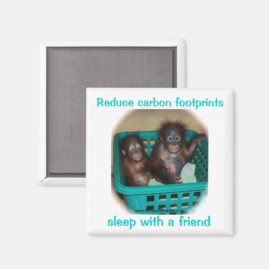 Humorale Schutzberatung Magnet (Vorderseite/Rückseite)