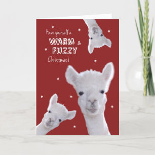 Humorale Warm & Fuzzy Weihnachtskarte mit Llamas Feiertagskarte