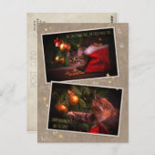 Humorale Weihnachtskatze Postkarte (Vorne/Hinten)