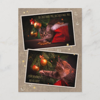 Humorale Weihnachtskatze Postkarte