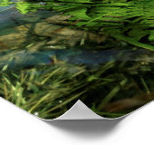 Humoraler Baumfrosch, der Flute spielt Poster (Ecke)