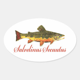 Humoraler Fisch, Fischen, Fischen Ovaler Aufkleber