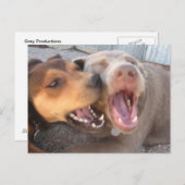 Humoraler Hund Postkarte (Vorne/Hinten)
