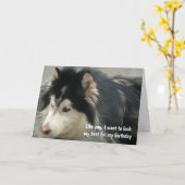 Humoraler Hund zum Geburtstag Karte (Gelbe Blume)