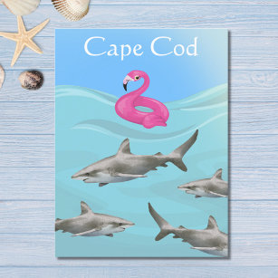 Humoraler Kap Cod Great White Shark Beach Postkarte