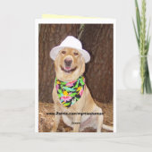 Humoraler Tag des Vaters Karte (Rückseite)