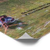 Humorales Bird-Thema-Poster Poster (Ecke)