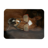 Humorales Horse Foal Rauch Zigarre Flexible Magnet (Horizontal)