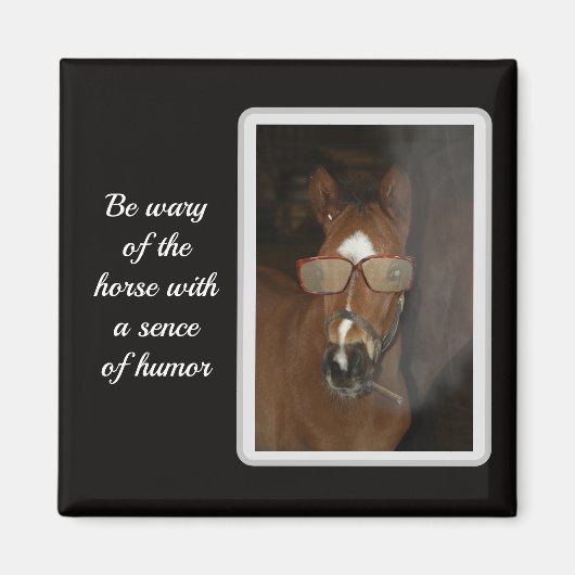Humorales Horse Foal Smoking Cigar Magnet (Vorne)