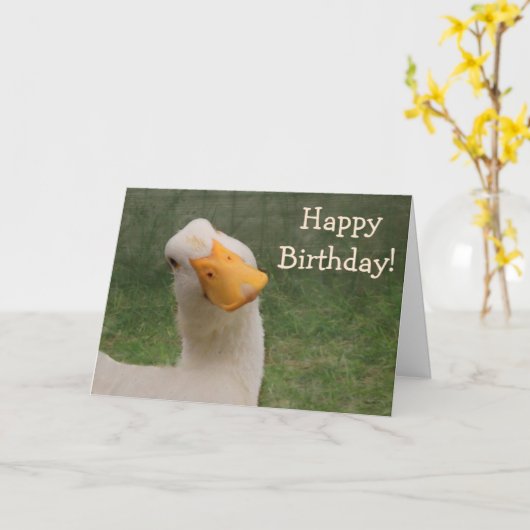 Humore Gänse Geburtstag Karte (Gelbe Blume)