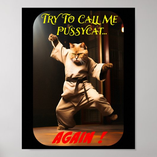 Humore Karate Theme Poster (Vorne)