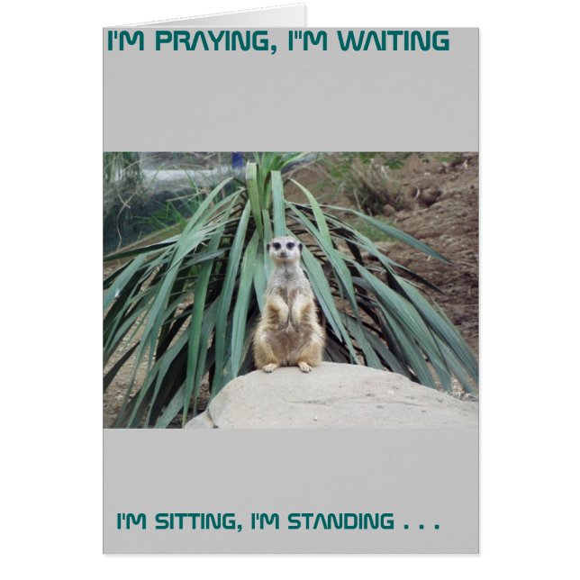 Humore Meerkat - Kreis eins (Vorne)