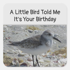 Humorer Geburtstag wünscht Little Bird Umschlag Au Quadratischer Aufkleber