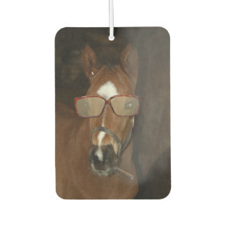 Humorer Horse Foal Smoking Cigar Air Freshener Autolufterfrischer