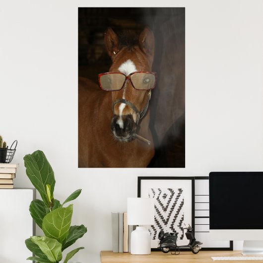 Humores Horse Foal Smoking Cigar Poster (Heimbüro)