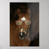 Humores Horse Foal Smoking Cigar Poster (Vorne)