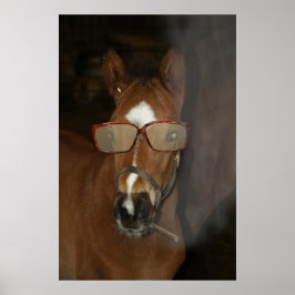 Humores Horse Foal Smoking Cigar Poster