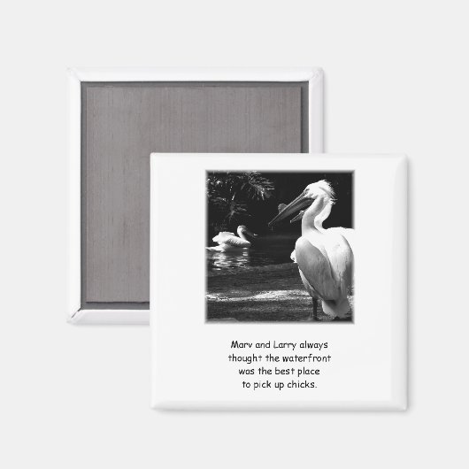Humorische Pelikane Magnet (Vorderseite/Rückseite)