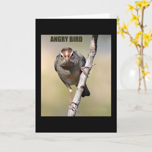 Humorische Vogelgrüßkarte Karte (Gelbe Blume)